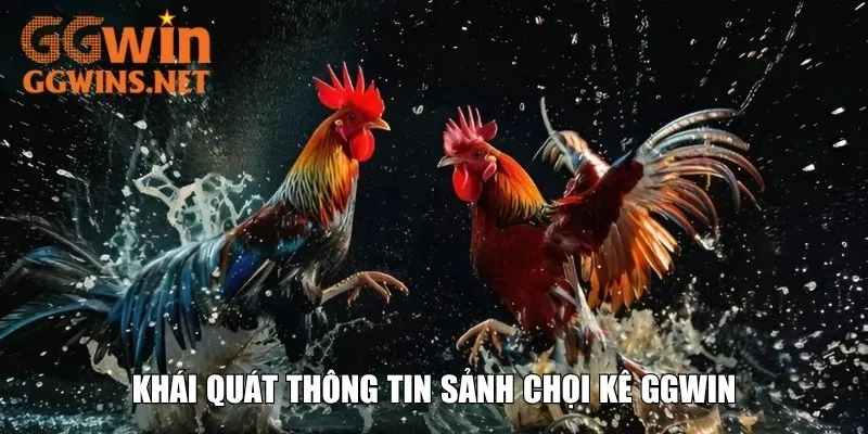Khái quát thông tin sảnh chọi kê GGWIN